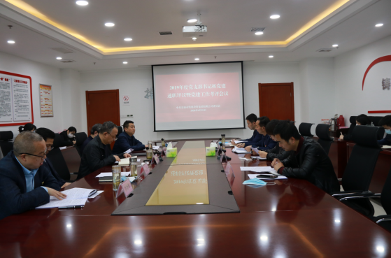 市发投集团党委召开2019年度党支部书记抓党建述职评议暨党建工作考评会议