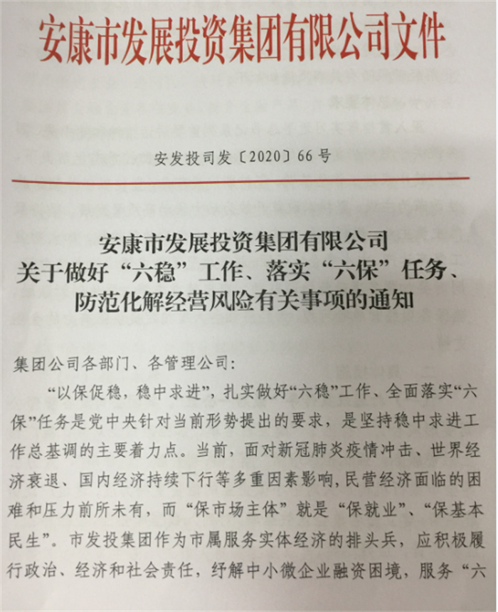 市发投集团召开“六稳”“六保”工作领导小组第一次会议