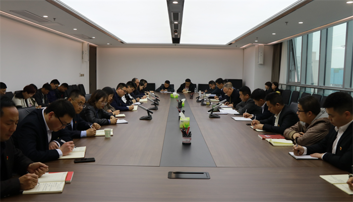  【要闻】市发投集团党委召开党史学习教育动员大会