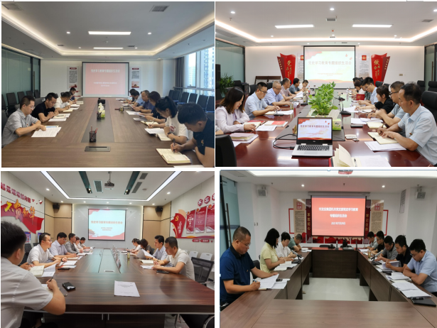 市发投集团党委所属党支部召开党史学习教育专题组织生活会
