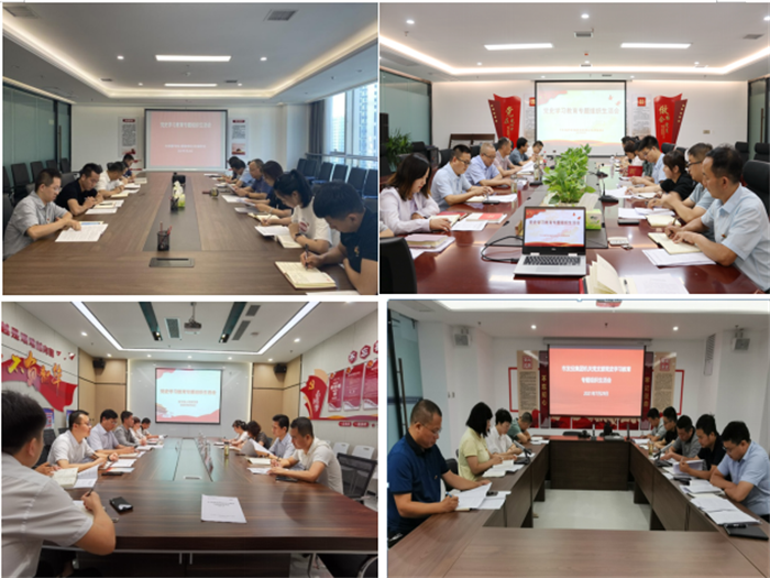 市发投集团党委所属党支部召开党史学习教育专题组织生活会