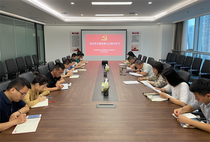 财信小贷公司党支部开展党史学习教育第七次集中学习