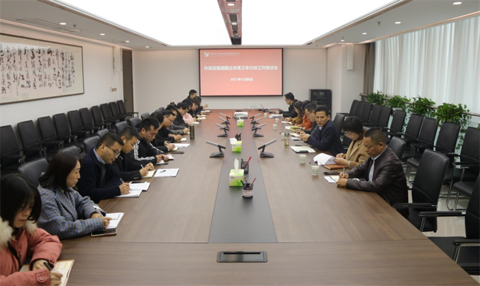 【要闻】市发投集团召开国企改革三年行动工作推进会