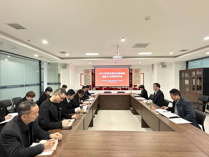 市发投集团党委召开党支部书记抓党建述职评议考核会议