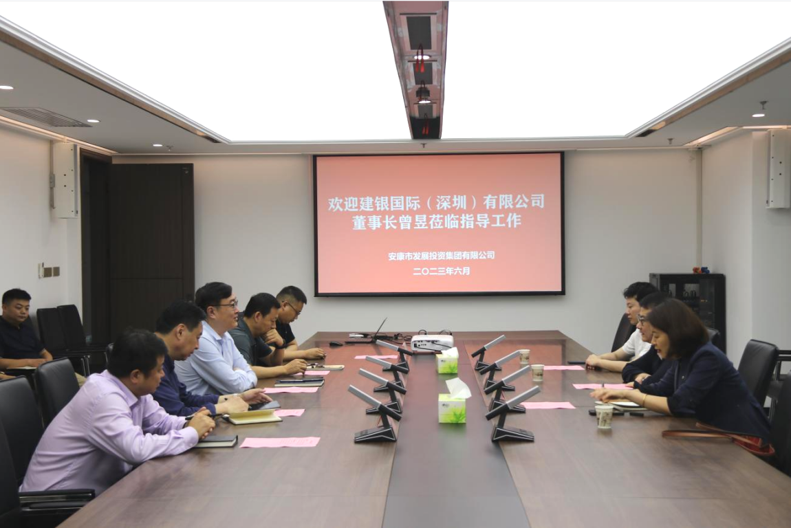 建银国际（深圳）有限公司来市发投集团考察调研