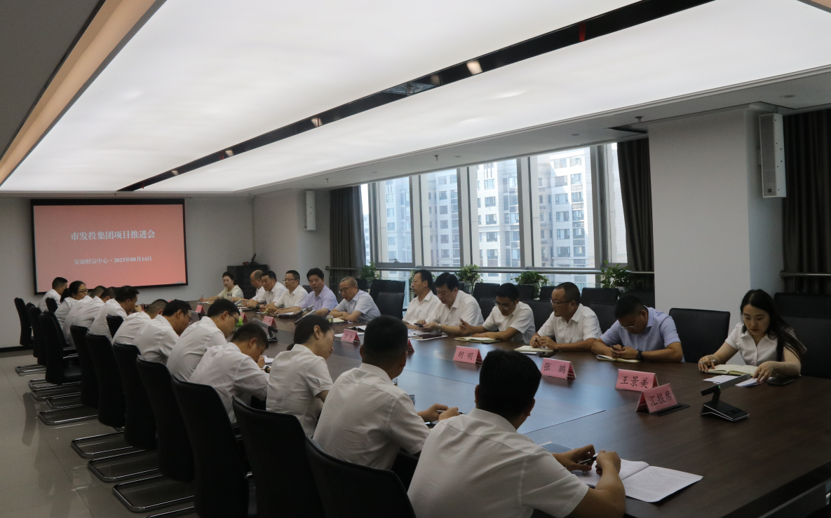 【要闻】市发投集团召开项目推进会